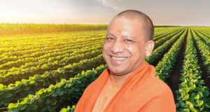 योगी कैबिनेट की मंजूरी: यूपी में किसानों से होगी मोटे अनाज की खरीद, 2026-27 की क्रय नीति स्वीकृत