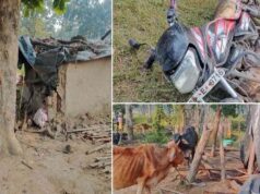 CG में हाथियों के हमले से दहशत, सुबह 3 बजे गांव में मची अफरा-तफरी