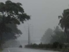 CG में मौसम बदलेगा मिजाज, चक्रवाती सिस्टम से बारिश की संभावना; फसलों को लेकर किसान चिंतित