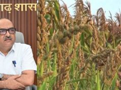मोटे अनाज की खरीदी पर सरकार का फोकस, मुख्य सचिव ने कोदो-कुटकी, रागी और मक्का के उपार्जन पर की चर्चा