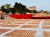 सनातन संस्कृति और आस्था की भव्य छटा से विश्व पटल पर चमकेगी रामनगरी