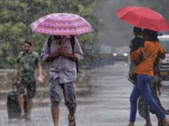 MP में कहीं आंधी-बारिश तो कहीं तेज धूप, रीवा संभाग में बरसेंगे बादल; पचमढ़ी सबसे ठंडा