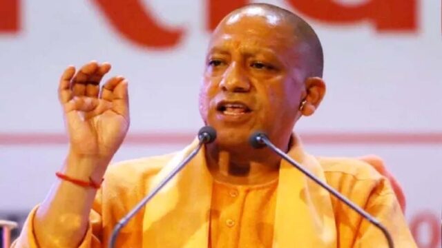 yogi2-8.jpg
